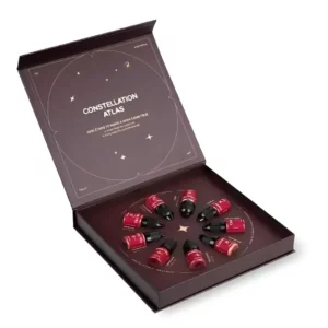 Etalon Mix Favor Lip Pigments Set in open Constellation Atlas box with professional PMU lip pigment bottles arranged in a circular display.